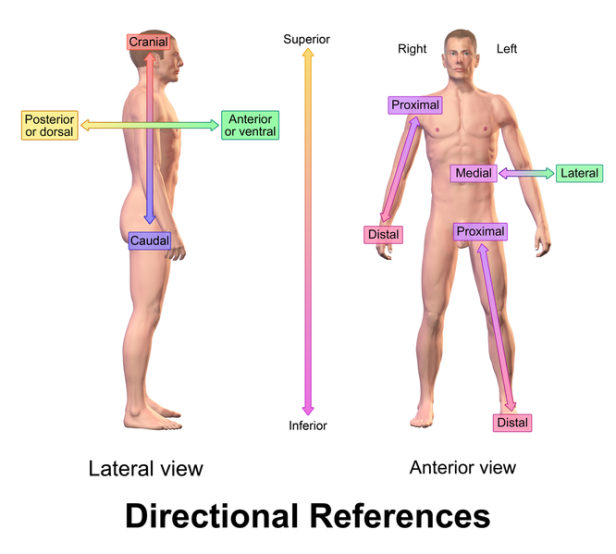 directional-references