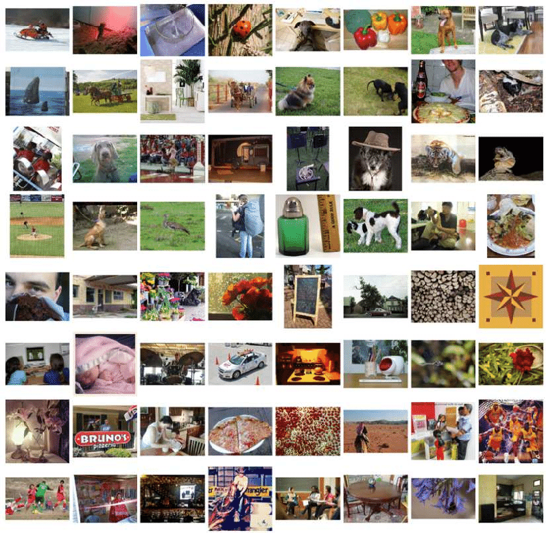 Examples-in-the-ImageNet-dataset