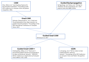 CNN Heat Maps: Class Activation Mapping (CAM) – Glass Box Medicine