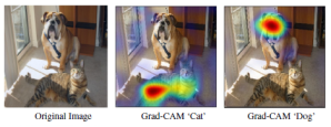 Grad-CAM: Visual Explanations from Deep Networks – Glass Box Medicine